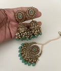 Dalmia  image 0