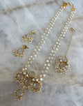 Double strand IH (Selenite)