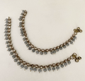 Shona payal  image 0